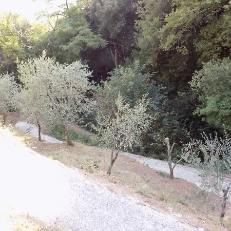 Fattoria Ceragioli Vakantiehuis Camaiore