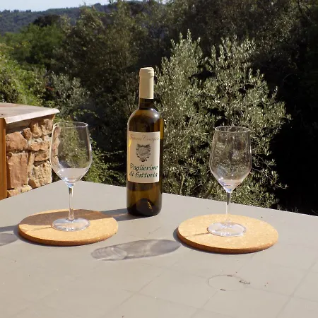 Fattoria Ceragioli Dom wakacyjny *