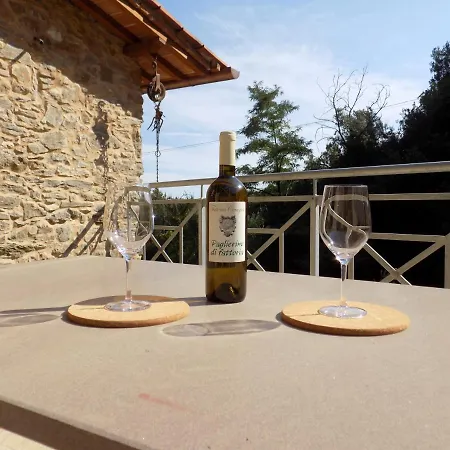 Fattoria Ceragioli * Camaiore