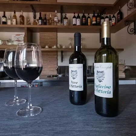 Fattoria Ceragioli Dom wakacyjny Camaiore