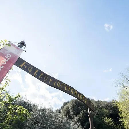Dom wakacyjny Fattoria Ceragioli